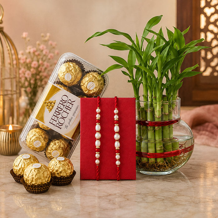 Lucky Bamboo Plant with Ferrero Rocher & 2 Rakhi Gift Set