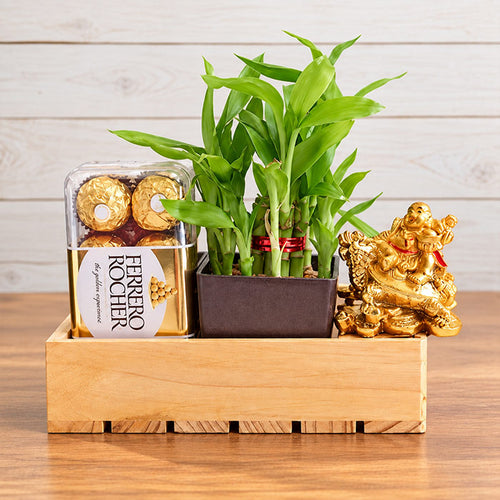 Lucky Bamboo Plant with Ferrero Rocher, Laughing Buddha & Wooden Tray