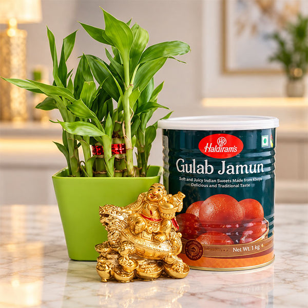 Lucky Bamboo Plant with Gulab Jamun and Laughing Buddha