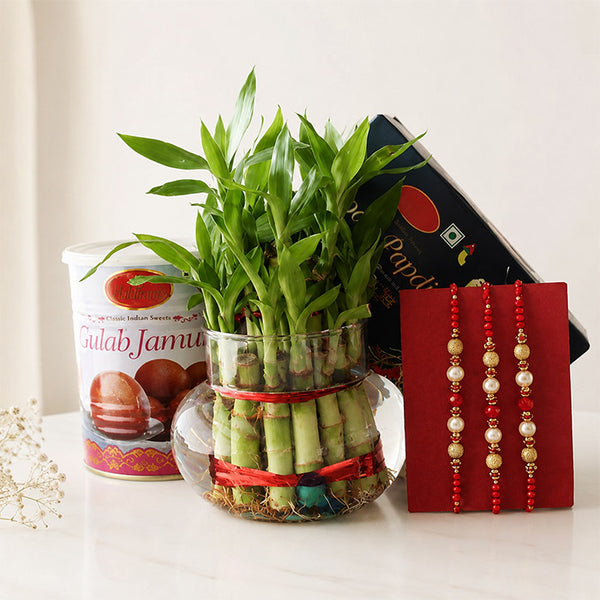 Lucky Bamboo Plant with Gulab Jamun, Soan Papdi & 3 Rakhi Gift Set