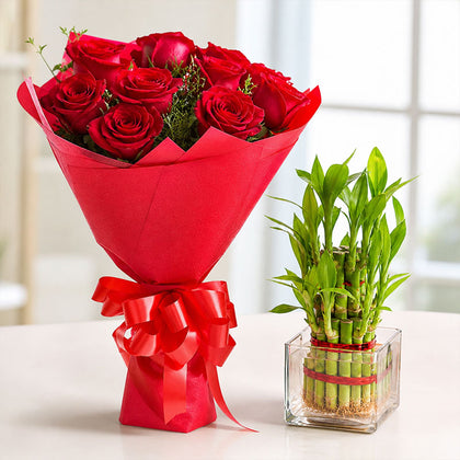 Lucky Bamboo Roses Emotion