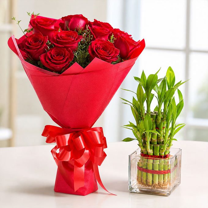Lucky Bamboo Plant with 10 Red Roses Bouquet