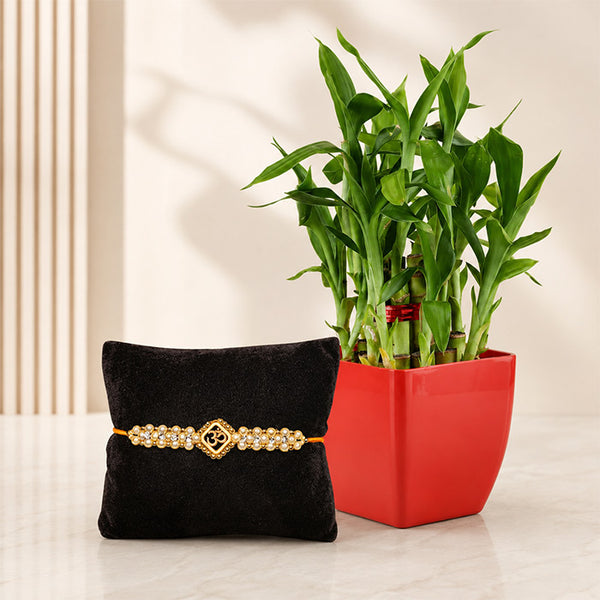 Lucky Bamboo With Single Rakhi