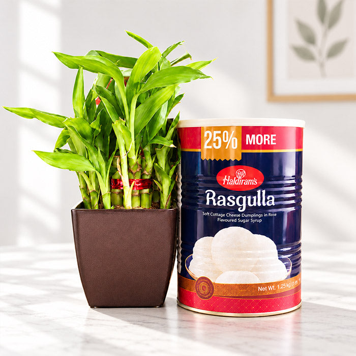 Lucky Bamboo with 1 kg Rasgulla Gift Hamper