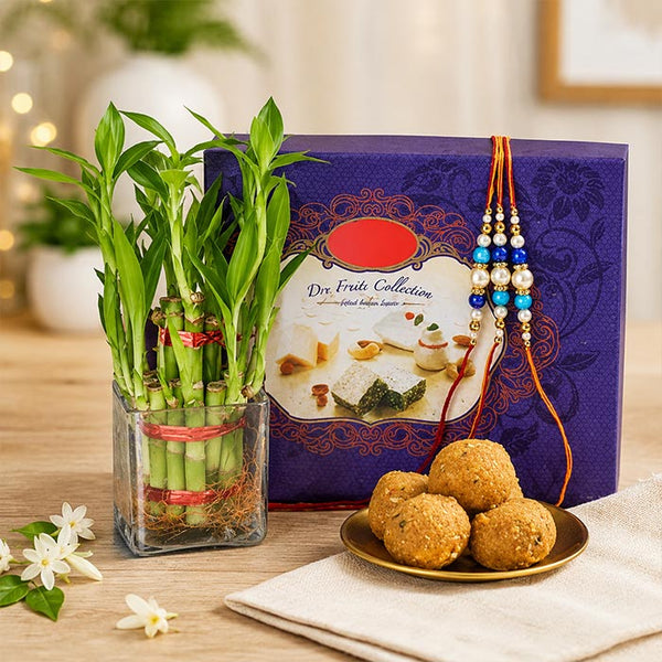 Lucky Bamboo with Besan Laddu & 3 Ethnic Rakhi Gift Set