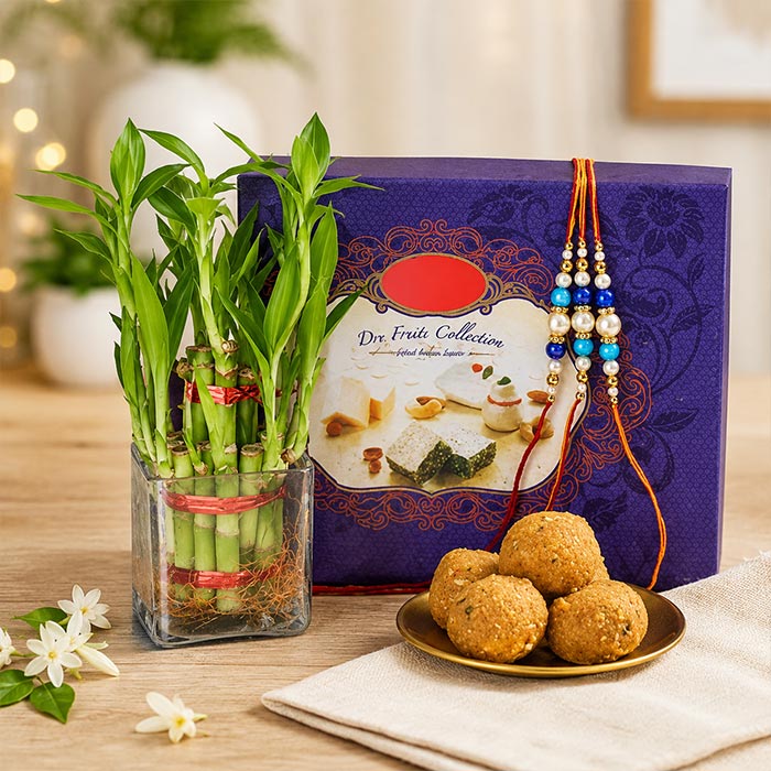 Lucky Bamboo with Besan Laddu & 3 Ethnic Rakhi Gift Set