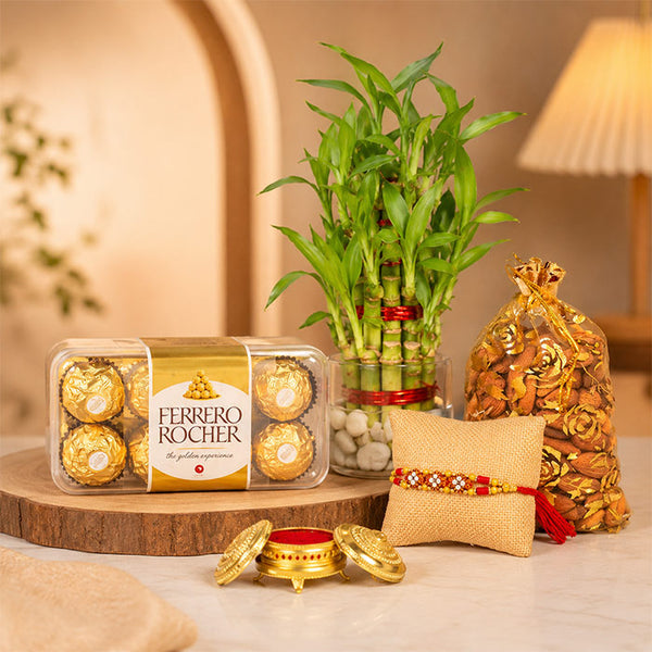 Medium Ferrero N Bamboo Plant Rakhi Combo