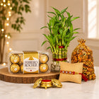 Medium Ferrero N Bamboo Plant Rakhi Combo customer review image