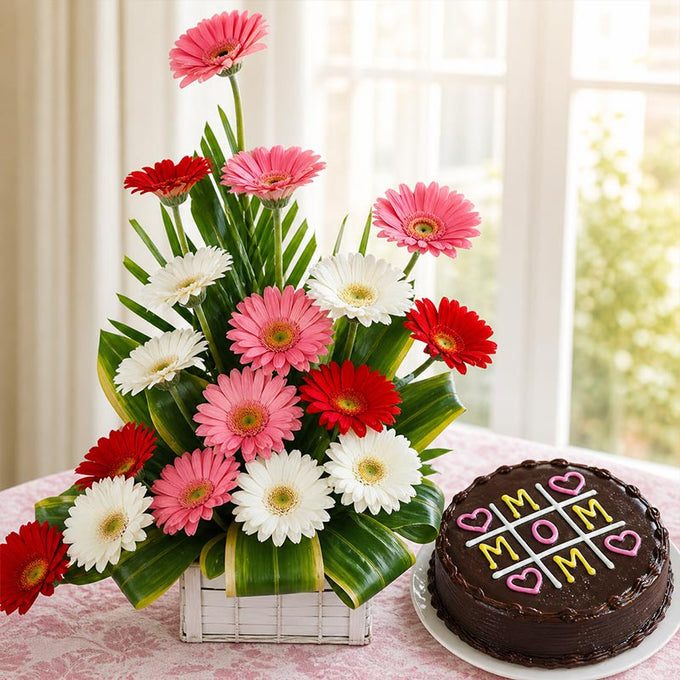 17 Pink White Red Gerberas with Half Kg Chocolate Cake - Flower Delivery in GiftsGhaziabad