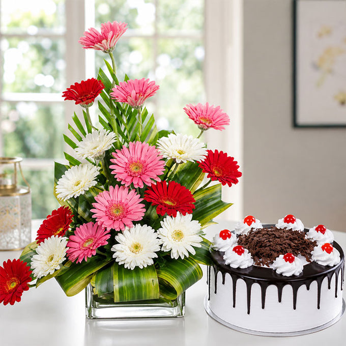17 Mix Gerberas with Half Kg Black Forest Cake - Flower Delivery in GiftsGhaziabad