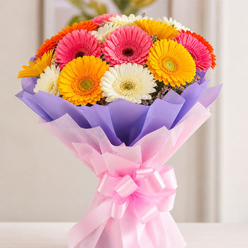 Send Gerberas Online