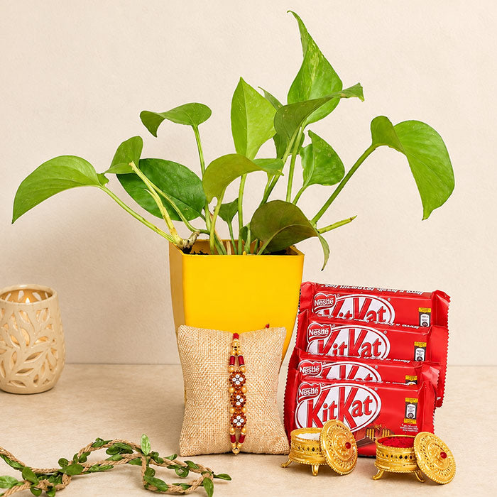 Money Plant N 4 Kitkat Chocolate Rakhi Combo