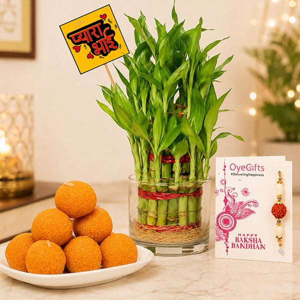 Motichur Laddoo with 3 Layer Bamboo Rakhi Gift