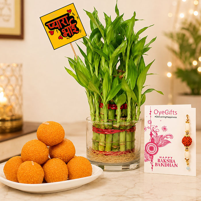 Motichur Laddoo with 3 Layer Bamboo Rakhi Gift