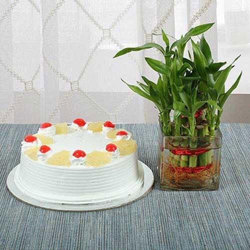 Pineapple cake with cherries and a lucky bamboo plant in a glass vase on a table