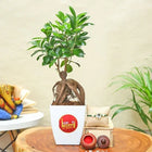 Ficus Bonsai With Rakhi customer review image