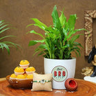 Rudraksha Rakhi With Peace Lily Plant N Motichoor Ladoo customer review image