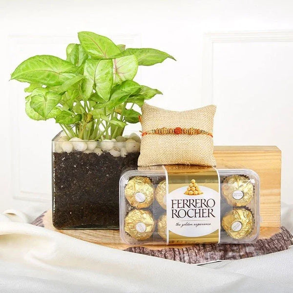 Ferrero Green Rakhi Set