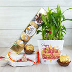 Golden Ganesha Rakhi With Lucky Bamboo Combo customer review image