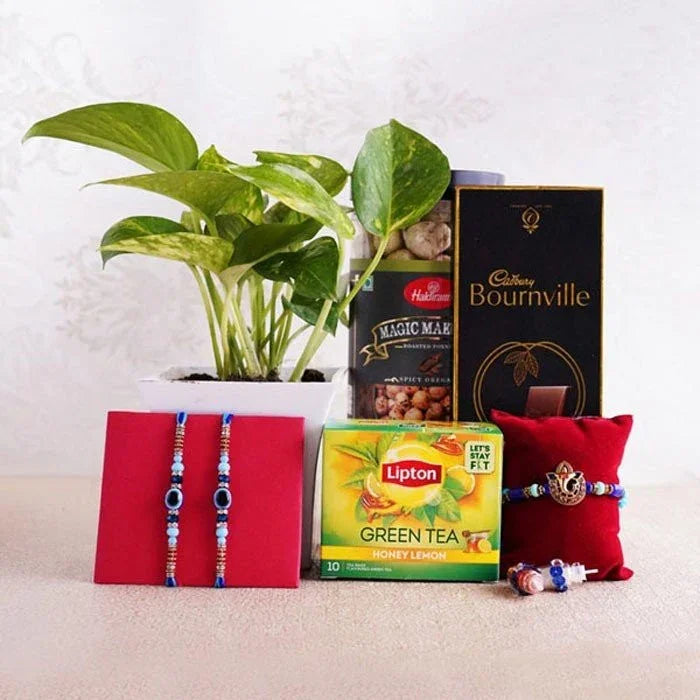 Three Auspicious Rakhis With Money Plant Combo