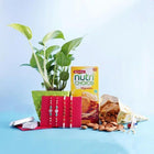 4 Silver And Rudraksha Rakhi Set With Money Plant Combo customer review image