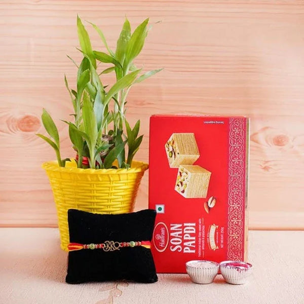 Designer Rakhi With Lucky Bamboo And Soan Papdi