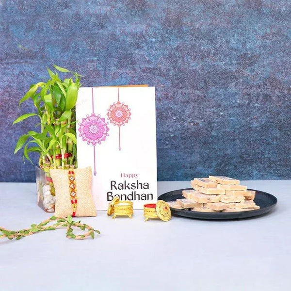 Lucky Bamboo Plant With Bead Rakhi N Kaju Katli