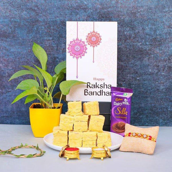 Soan Papdi N Yellow Shad Potted Plat Rakhi Combo