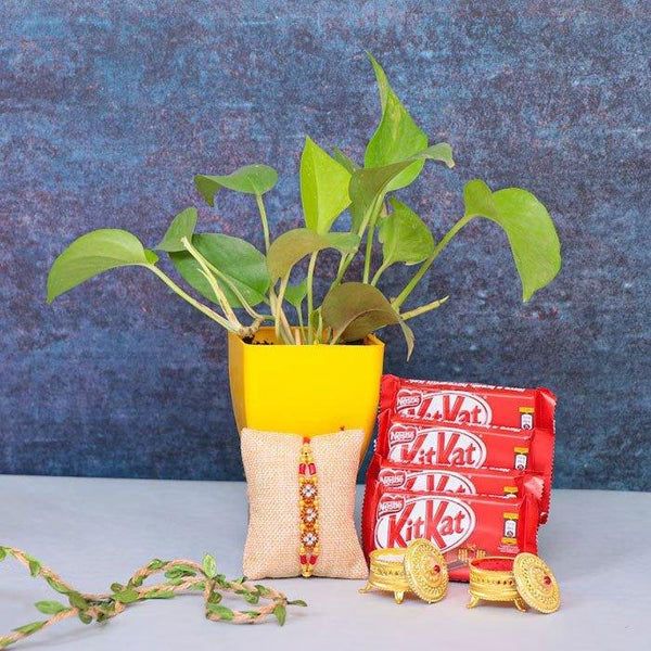 Money Plant N 4 Kitkat Chocolate Rakhi Combo