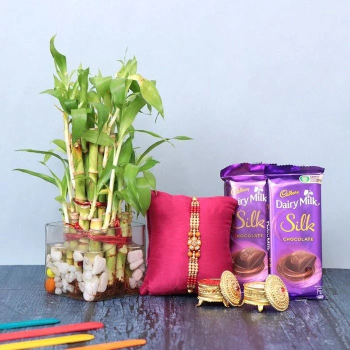 Plant Rakhi Combo With Cadbury Celebration