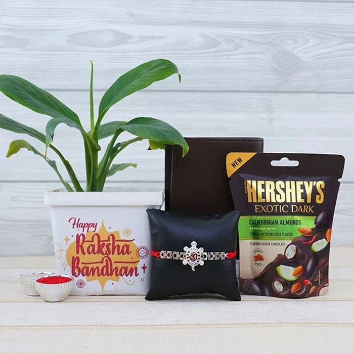Silver Rakhi With Wallet And Peace Lily Hamper