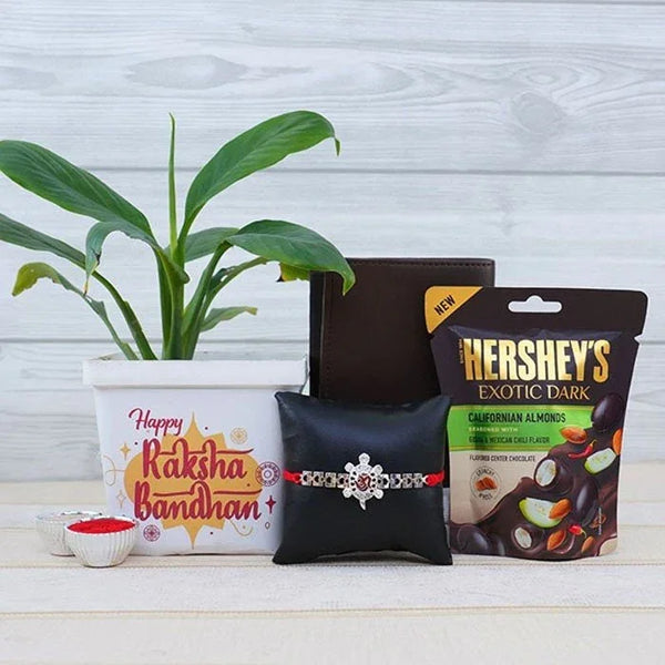 Rakhi set with Hershey's chocolate and a plant on a wooden surface