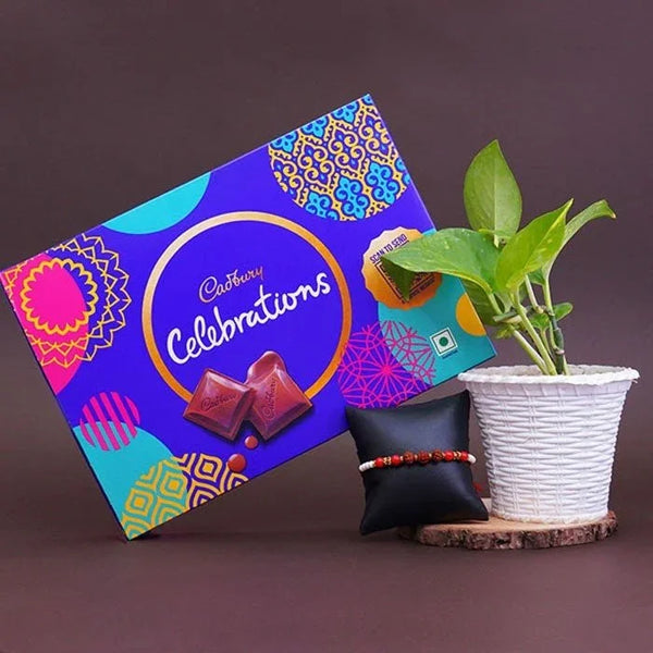 Cadbury Celebrations chocolate box with a plant and decorative items on a dark background