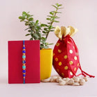 One Feng Shui Rakhi With Jade Plant And Cashews customer review image