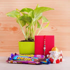 Silver Rakhi With Money Plant Combo customer review image