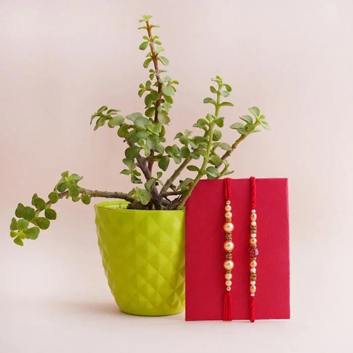 Green potted plant next to a red notebook with decorative ribbons on a light background