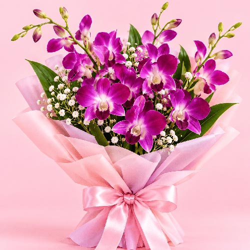 Orchids