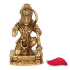 Brass Hanuman Idol customer review image