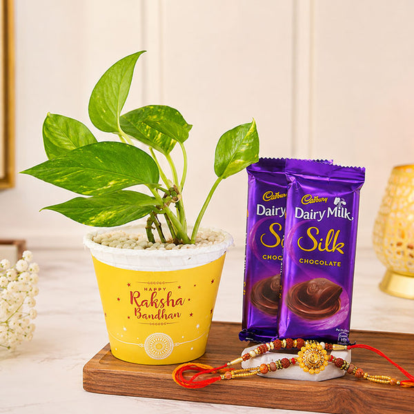 Om Rakhi And Rudraksh Rakhi With Money Plant And Chocolates