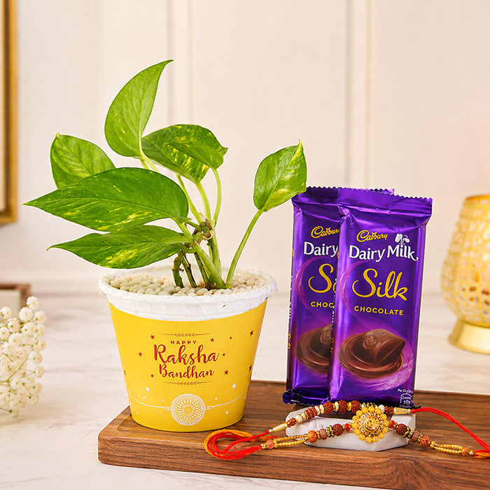 Om Rakhi And Rudraksh Rakhi With Money Plant And Chocolates