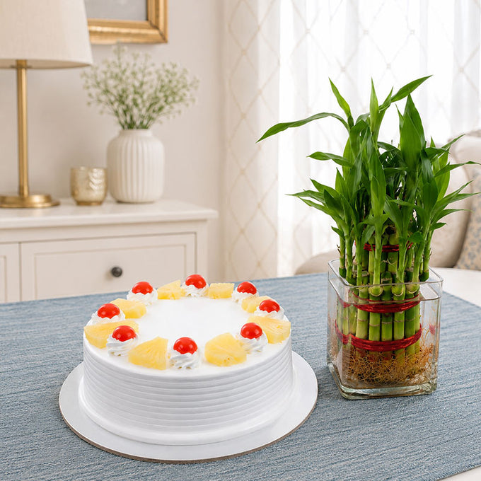 Pineapple Cake 500g with Two Layer Lucky Bamboo Plant - Cake Delivery in Kalyani