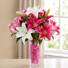Pink & White Oriental Lily Vase Arrangement customer review image