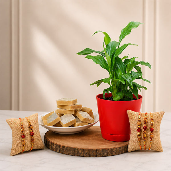 Rakhi Plant And Kaju Combo