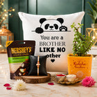 Rakhi With Jade Plant N Cushion Gift Pack customer review image