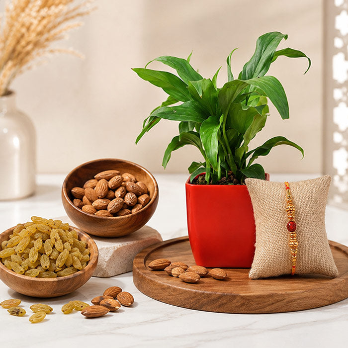 Rudraksh Rakhi Hamper