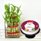 Christmas Good Luck Combo customer review image