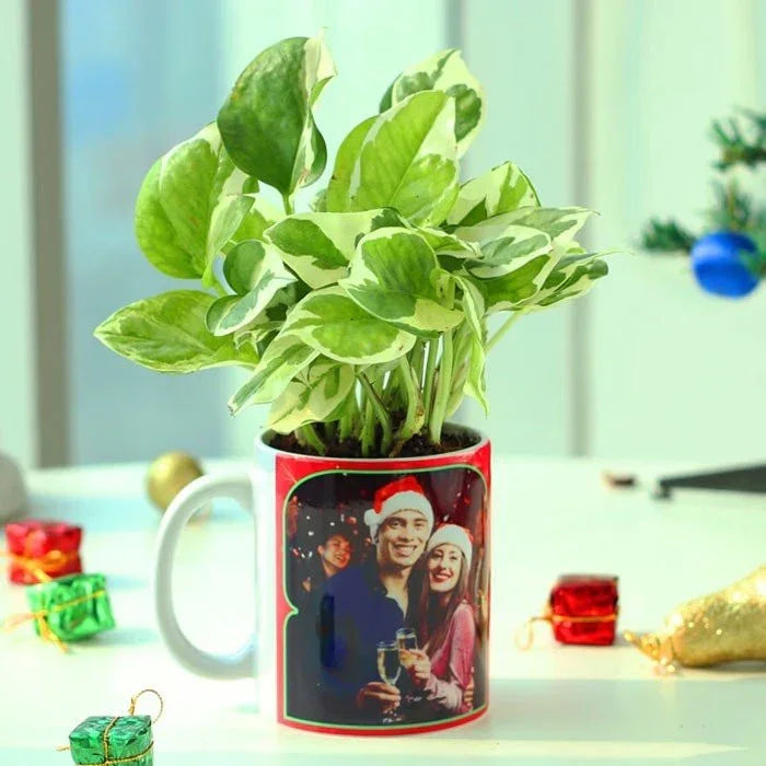 Green potted plant in a mug with a printed design on a light background
