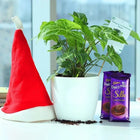 Silky Santa Wishes customer review image