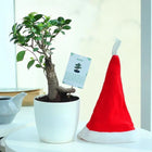 Xmas Wishes Pot customer review image
