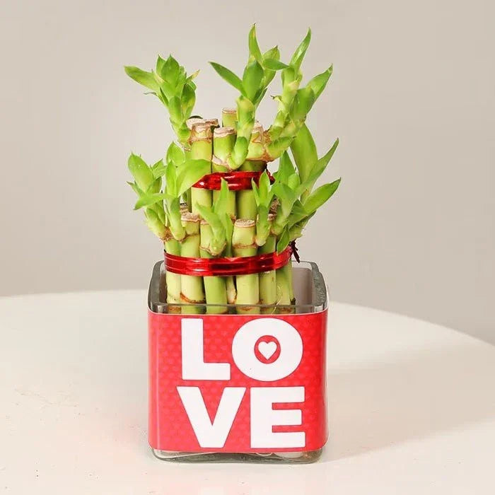 Let Us Double The Love